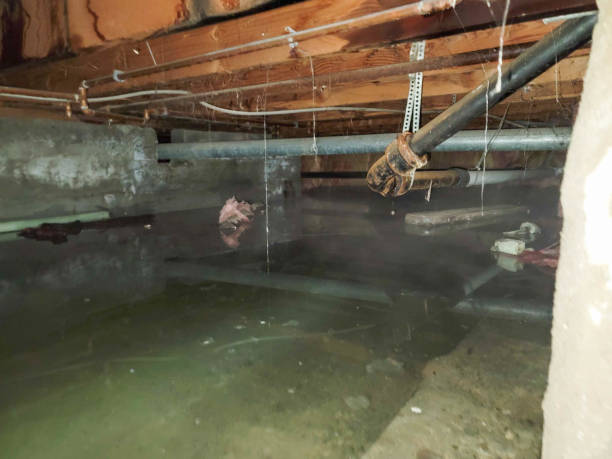 Best Water damage cleanup near me  in Cordaville, MA