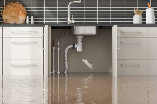 Best Water damage restoration insurance claims  in Cordaville, MA